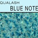 Aqualash