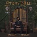Stony Hill专辑