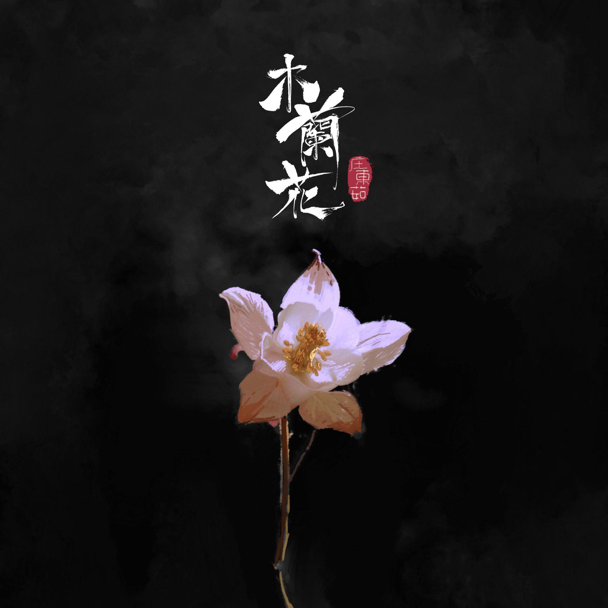木兰花
