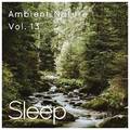 Sleep to Ambient Nature Sounds, Vol. 13