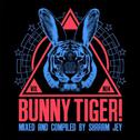 Bunny Tiger Selection Vol. 4 专辑