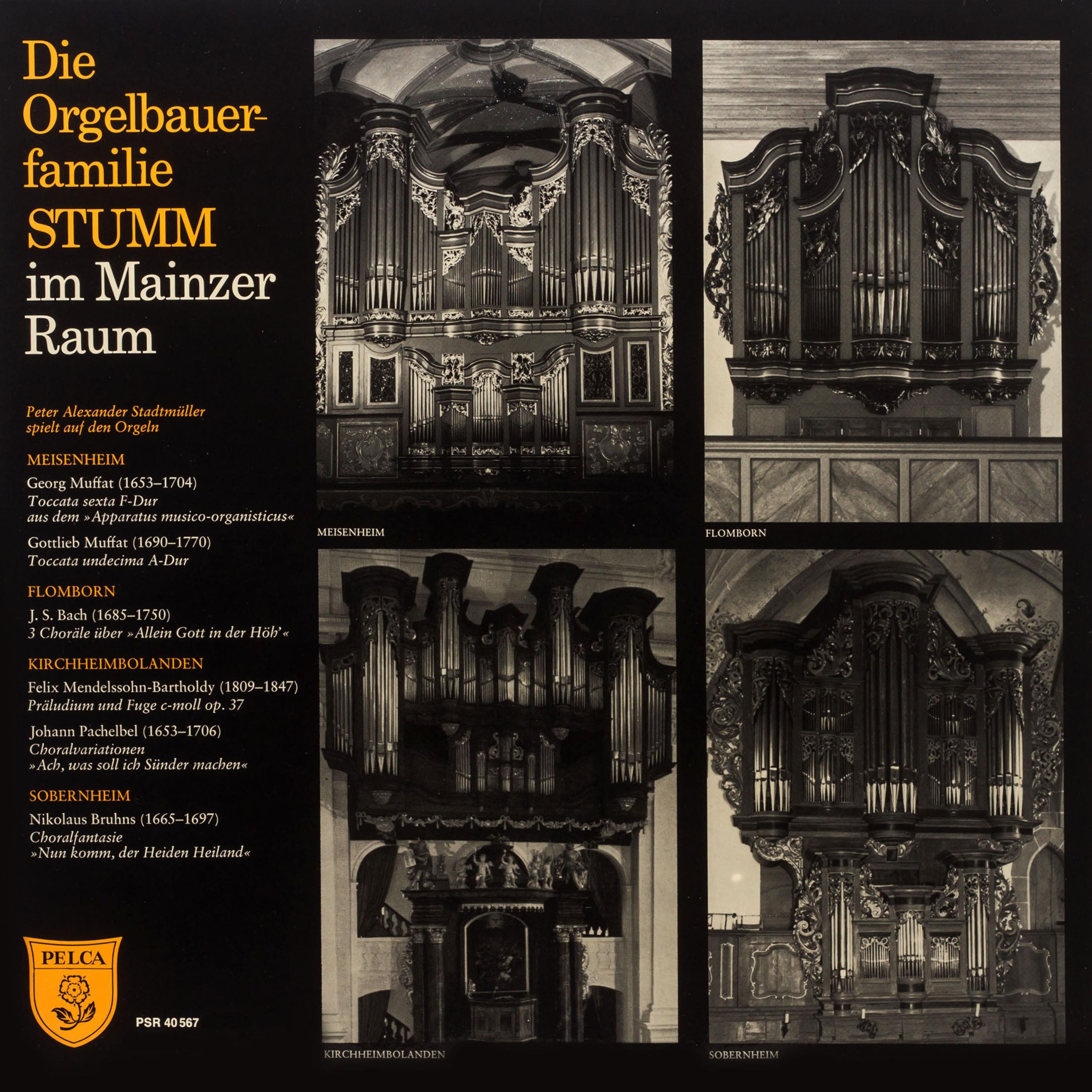Die Orgelbauerfamilie Stumm im Mainzer Raum