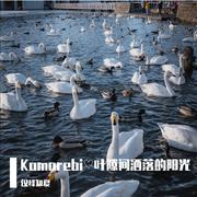 Komorebi(叶隙间洒落的阳光)