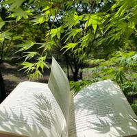 春日松弛室 | chill节奏 放慢生活 放慢自己