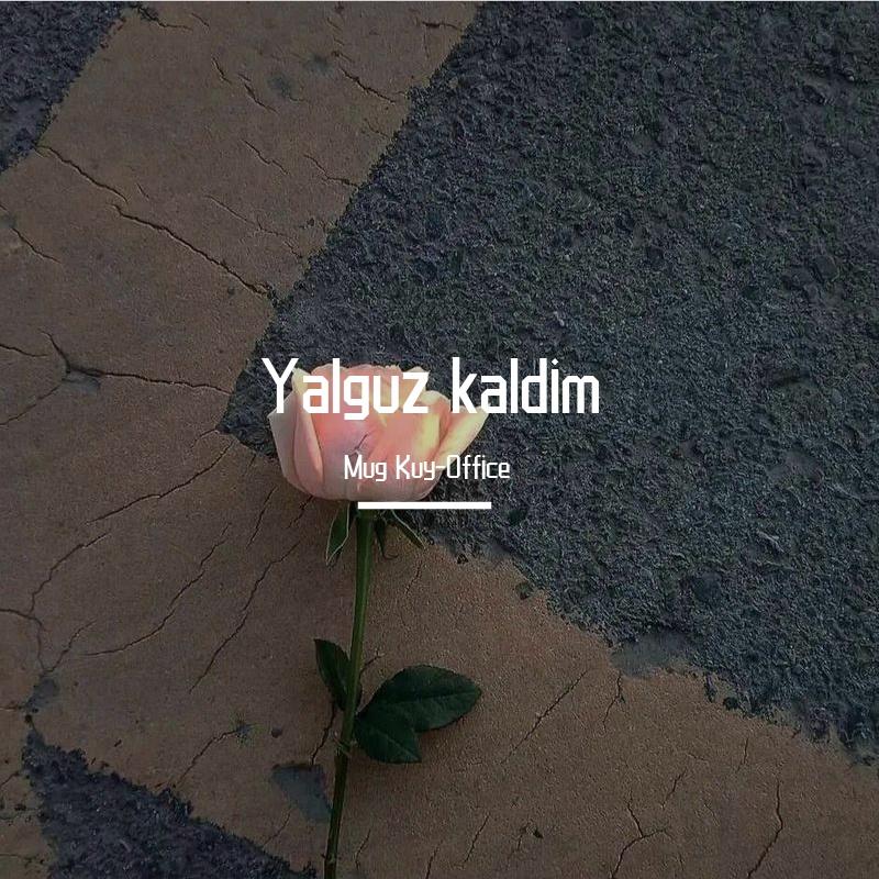 Yalguz kaldim 孤独