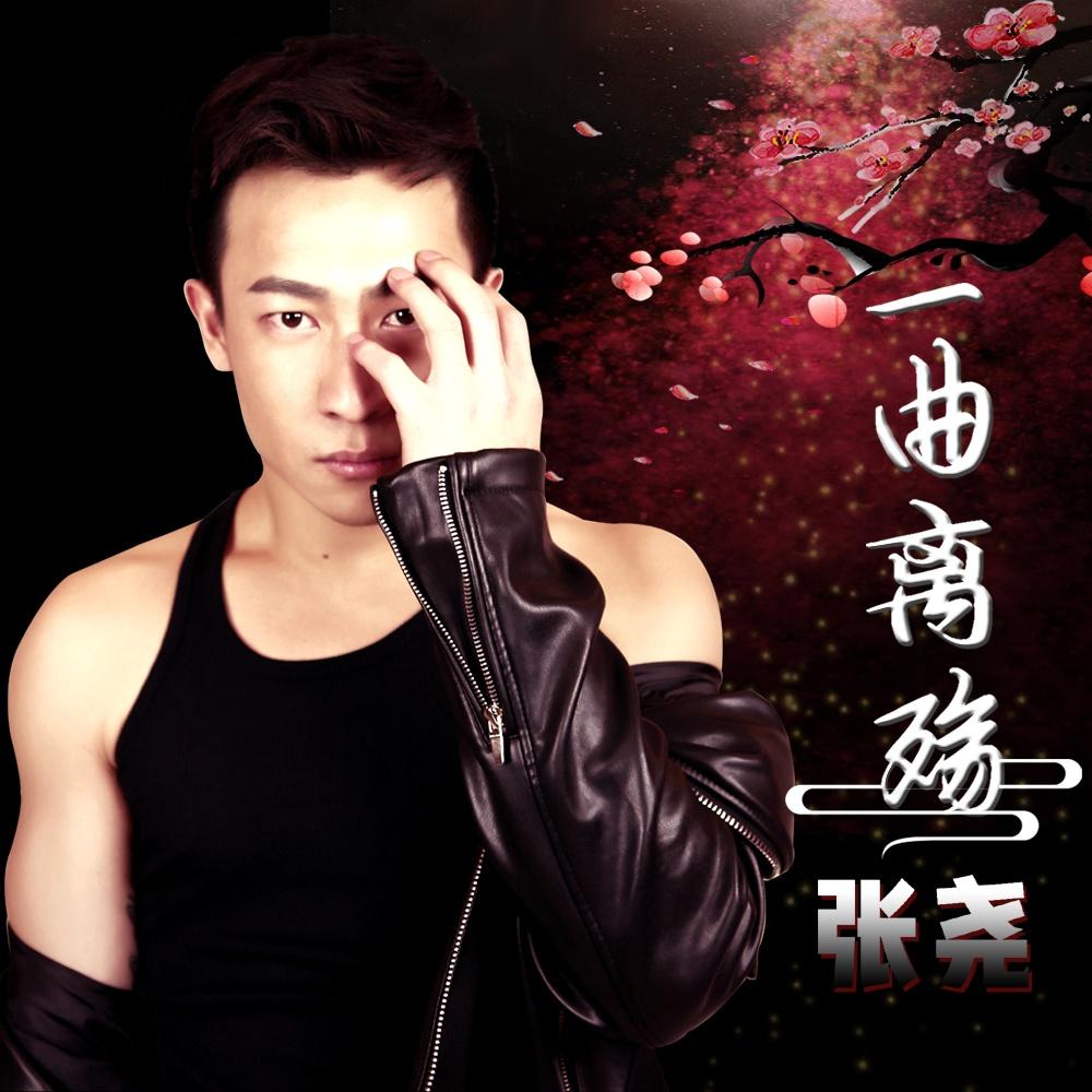 一曲离殇 - 张尧 - 单曲 - 网易云音乐