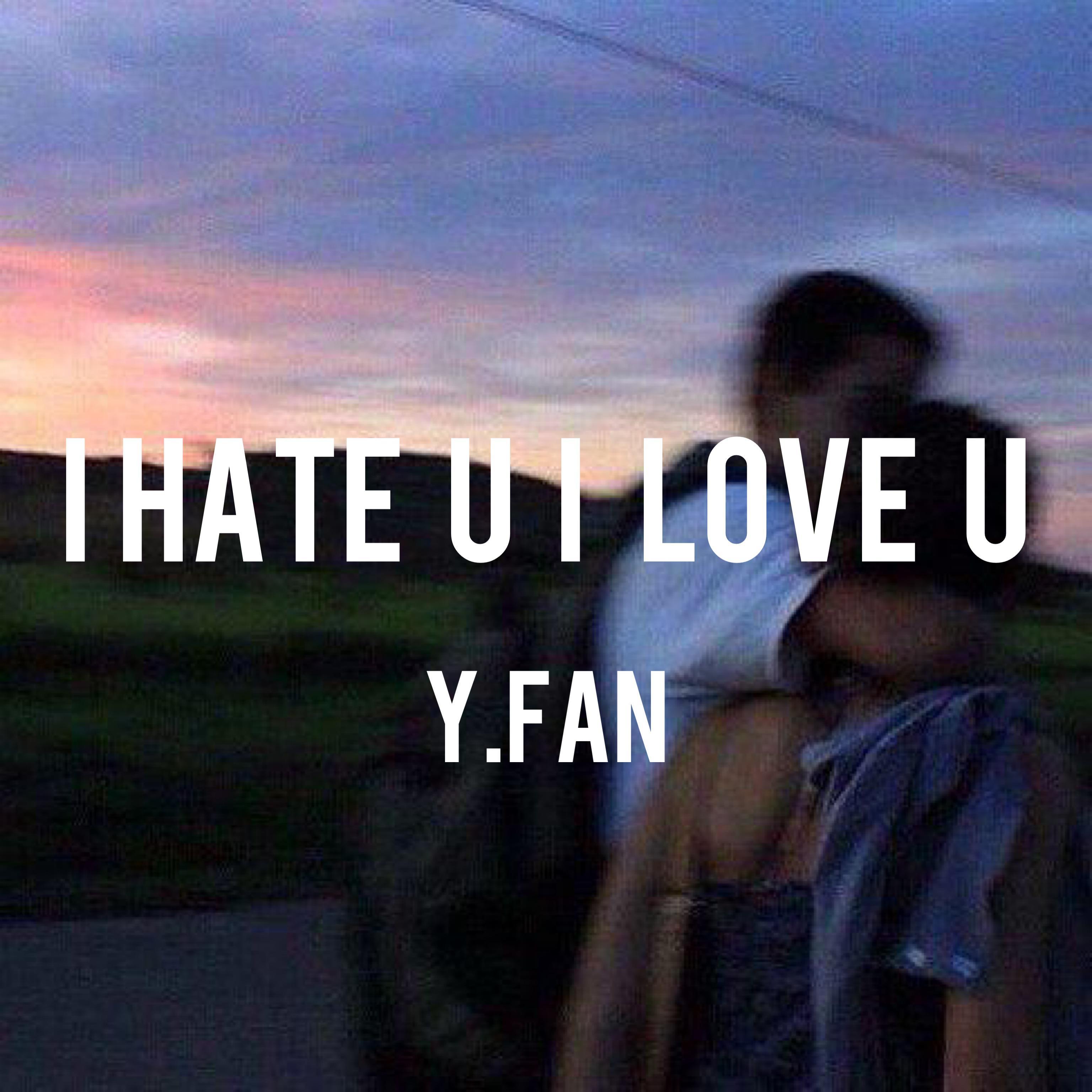 Gabi Foksa-i hate u i love u（Y.Fan remix）