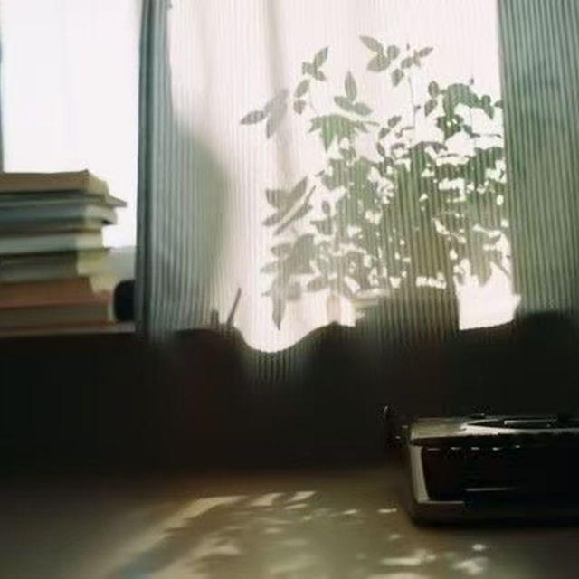 我们在世界的纷扰中穿梭彼此的生活