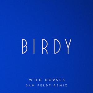 Birdy - Wild Horses