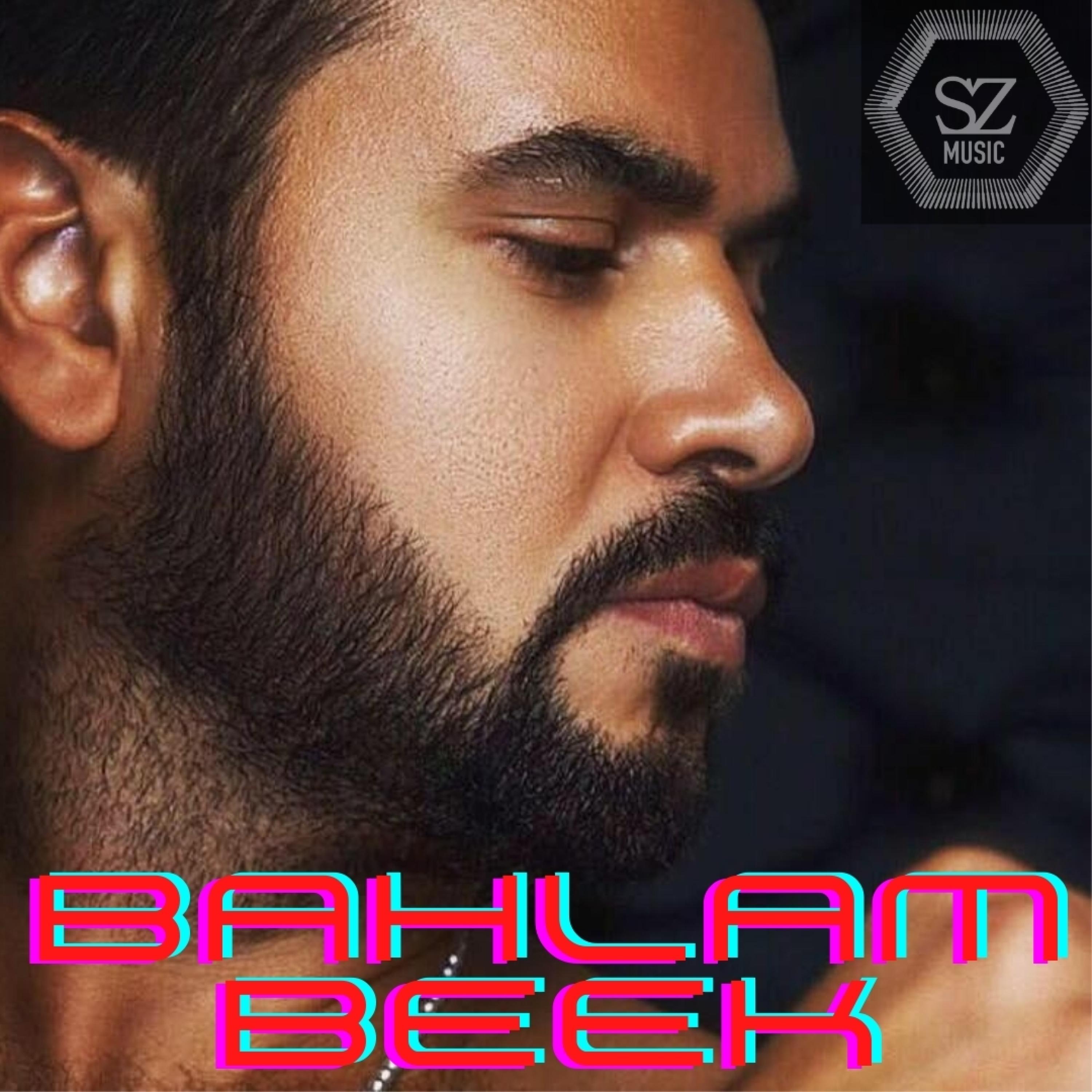BAHLAM BEEK