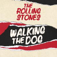 The Rolling Stones - Walking The Dog (instrumental)