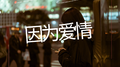 因为爱情专辑
