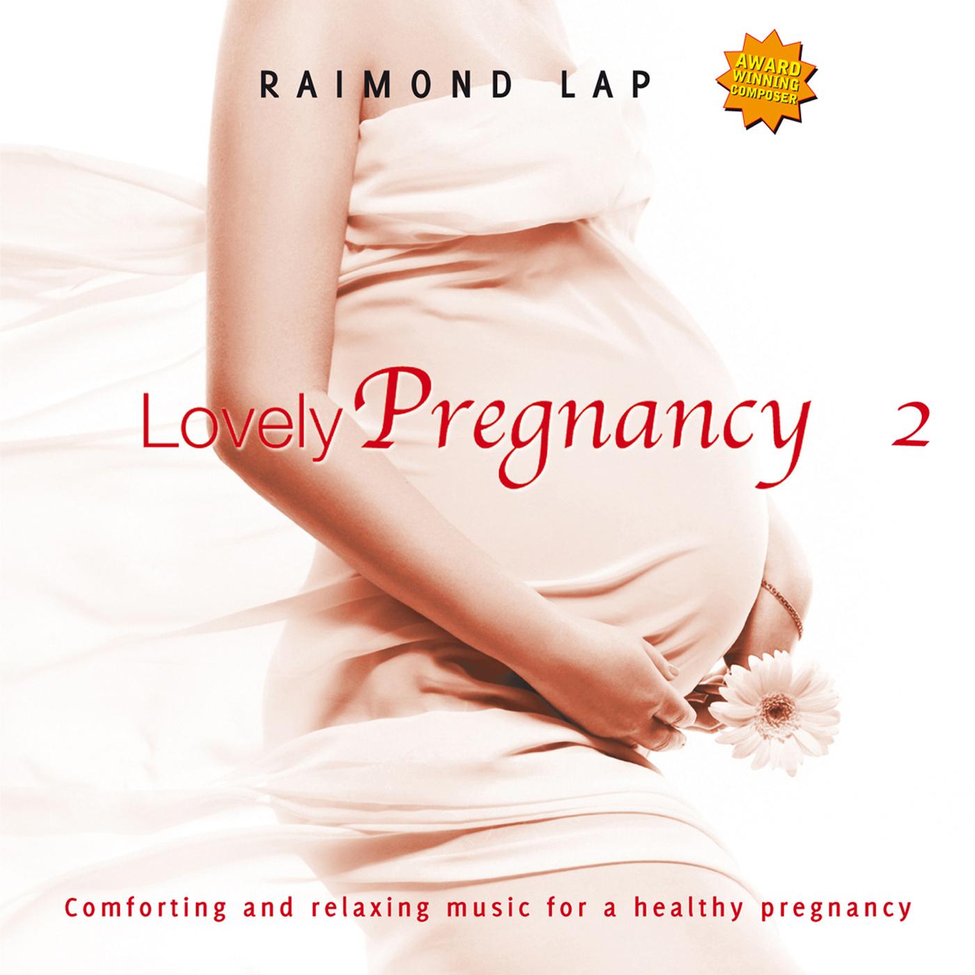 Lovely Pregnancy 2