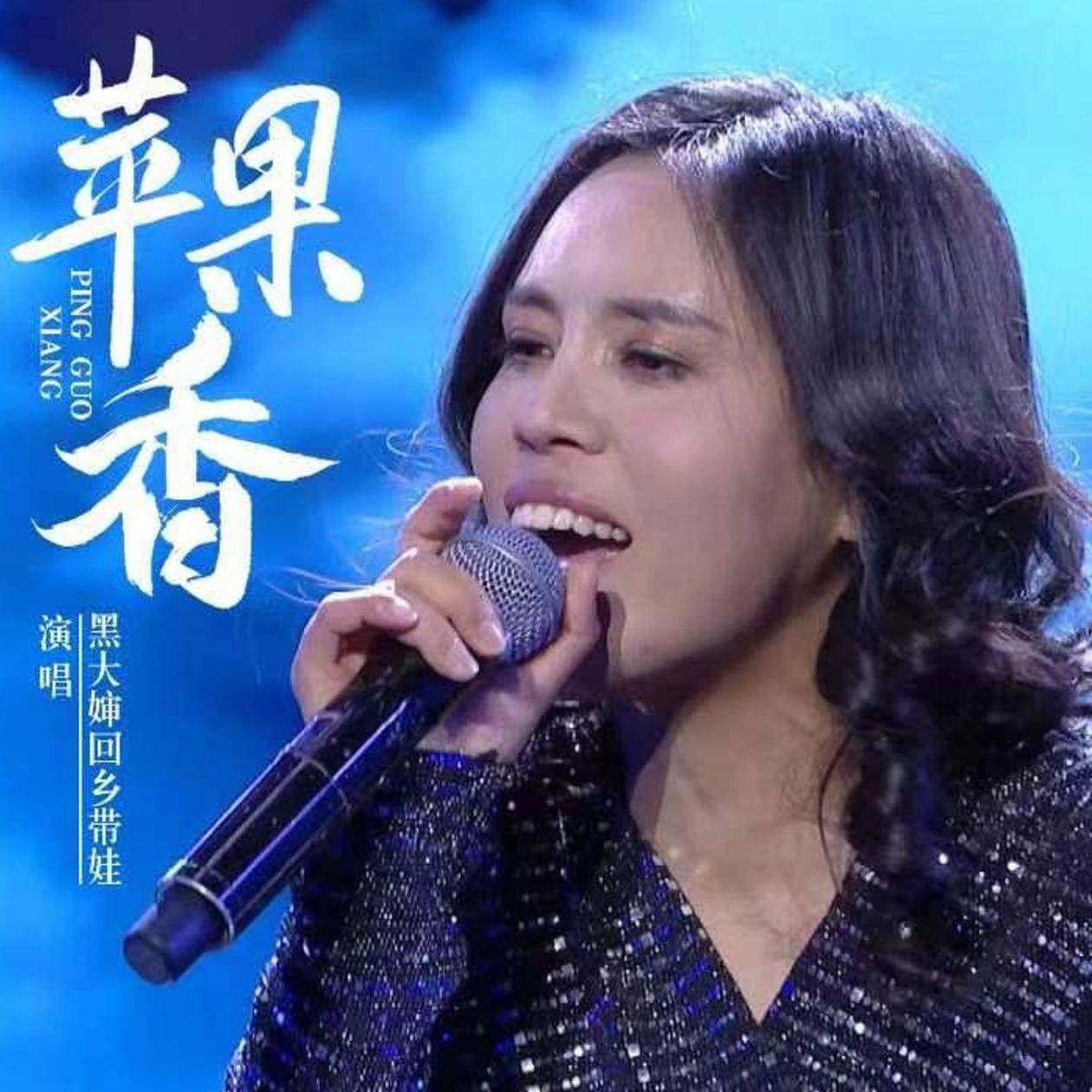 黑大婶回乡带娃-苹果香 （DJ百大菌Remix）