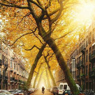 九月 | Future Bass & Chill Music