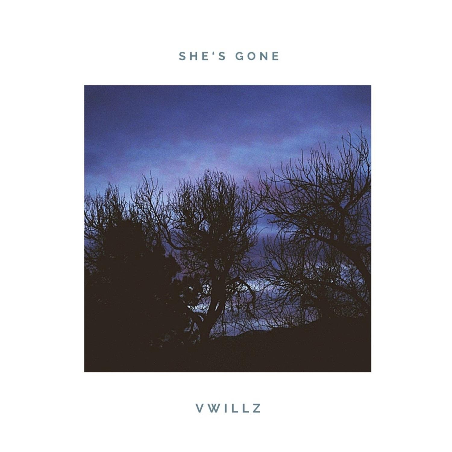 Vwillz - She's Gone