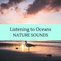 Listening to Oceans - Nature Sounds