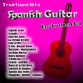 Traditional Hits Instrumental: Spanish Guitar