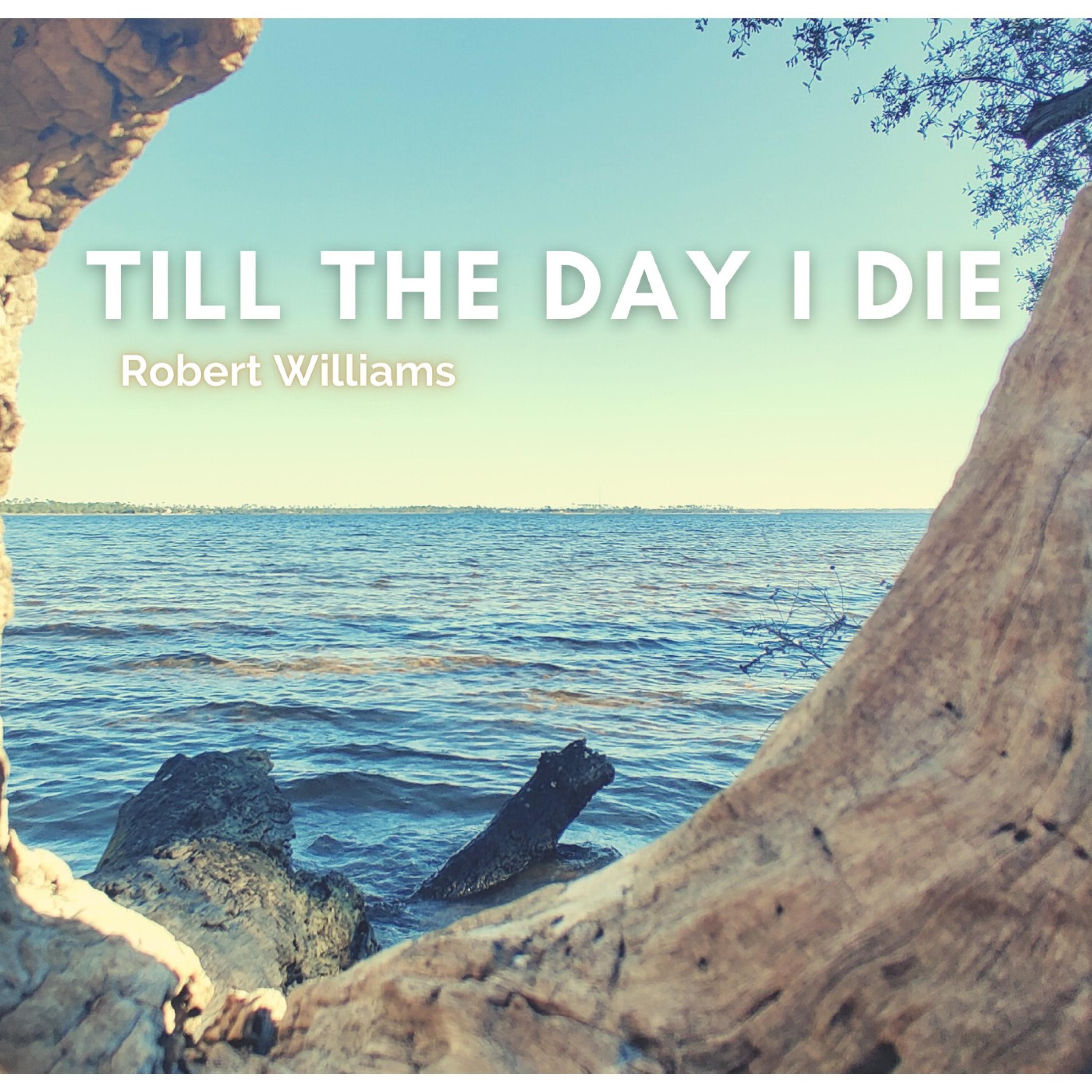 Till The Day I Die