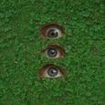 Anxious Eyes