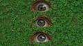 Anxious Eyes专辑