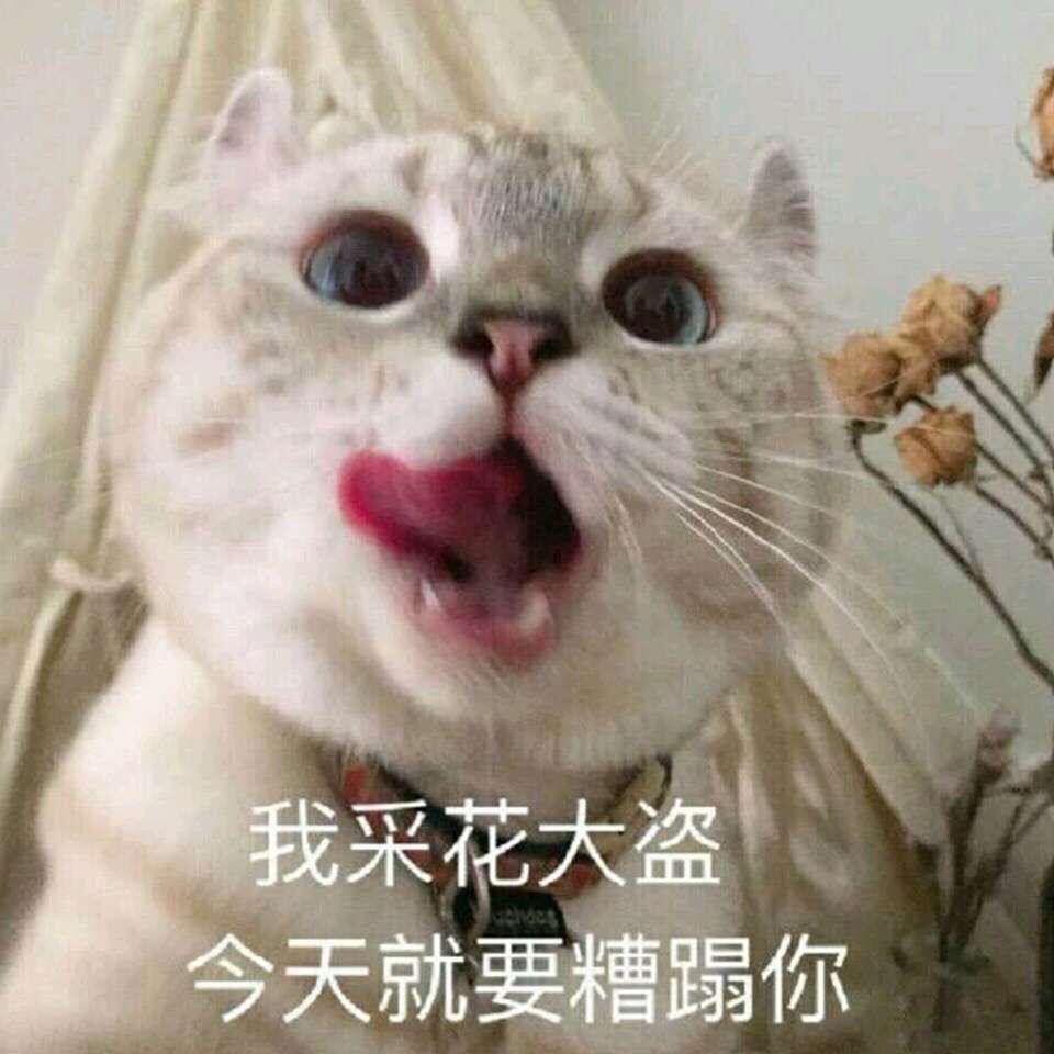 幻听专辑