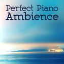 Perfect Piano Ambience专辑