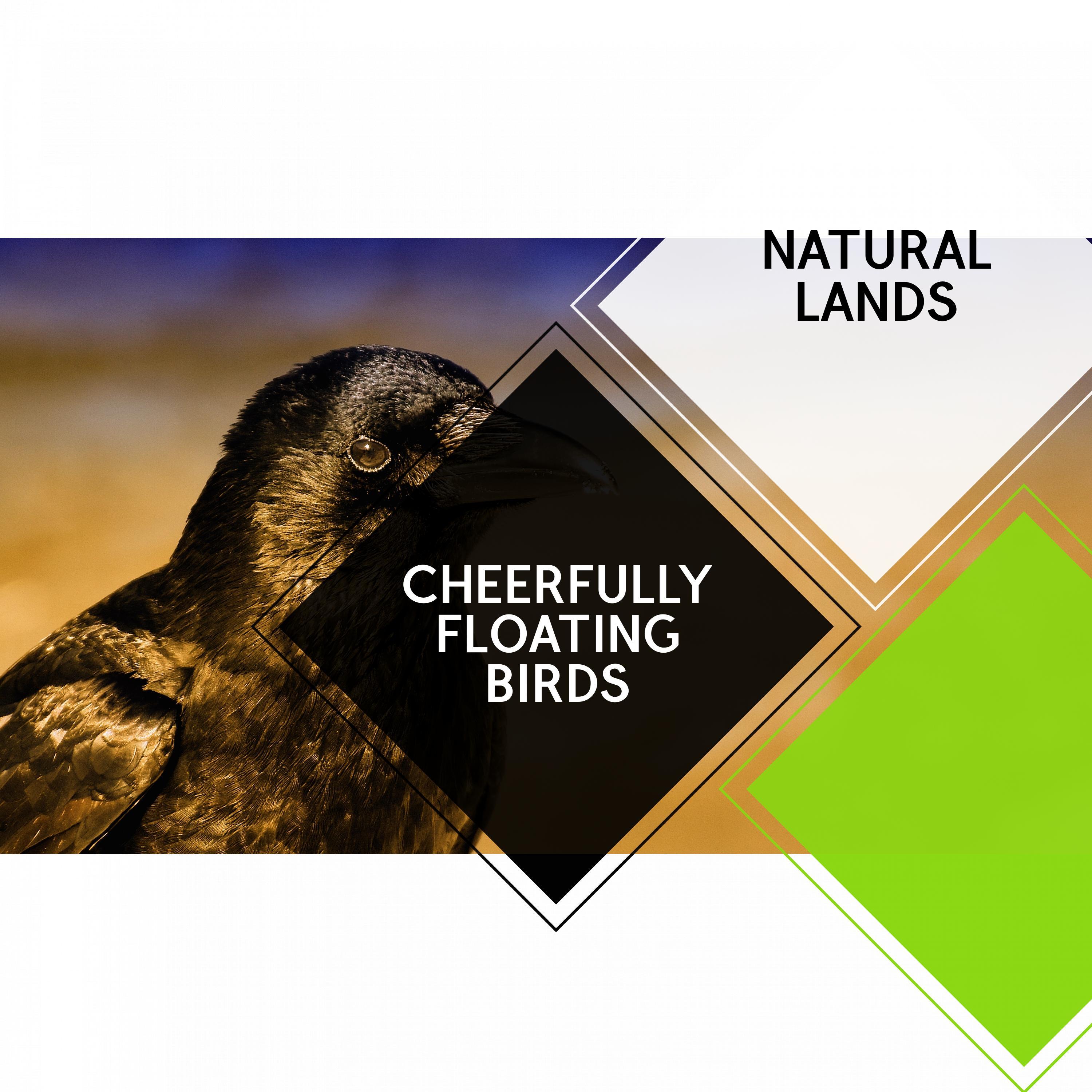 Cheerfully Floating Birds - Natural Lands
