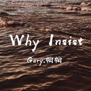 Why Insist（Prod by JIMMY_TC）