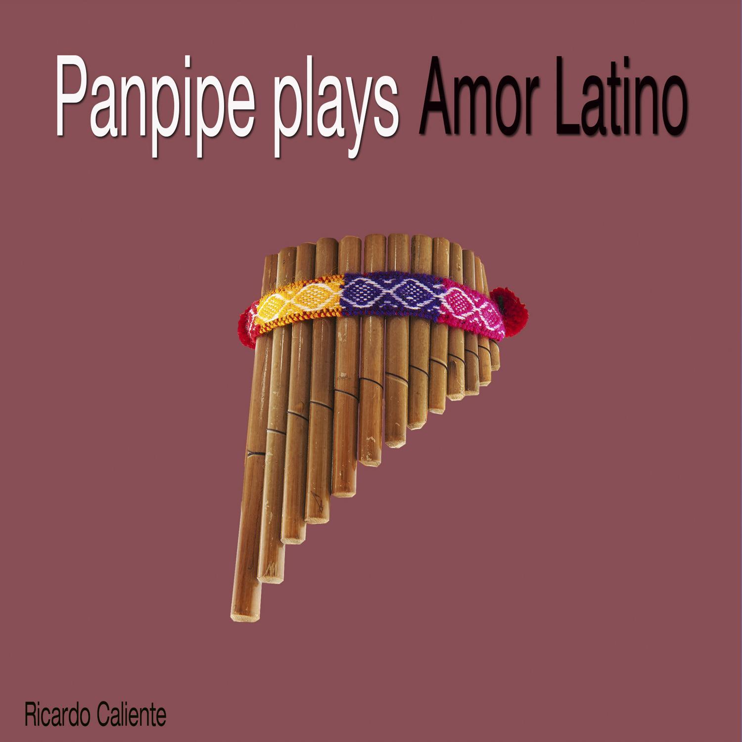 Panpipe Plays Amor Latino
