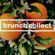 Brunch Collect