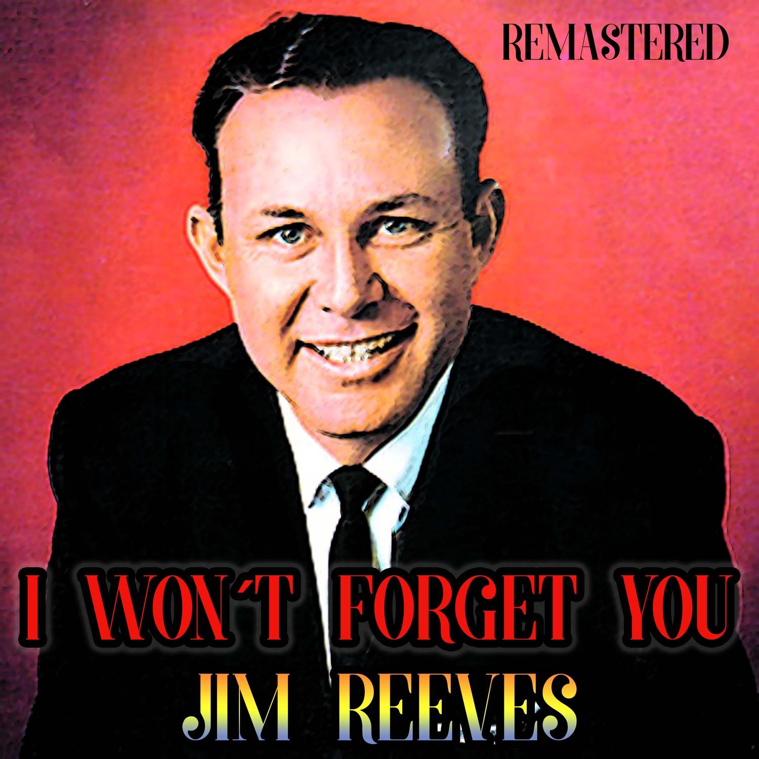 I Won't Forget You