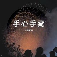 原版伴奏 张曼 - 手心手背