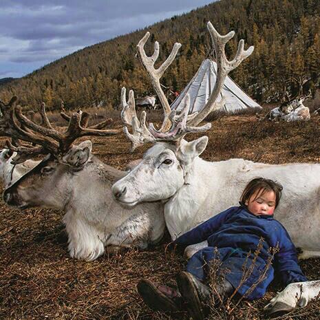Ψ Mongol saihan duu -
