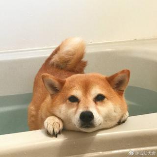 好听的日语歌