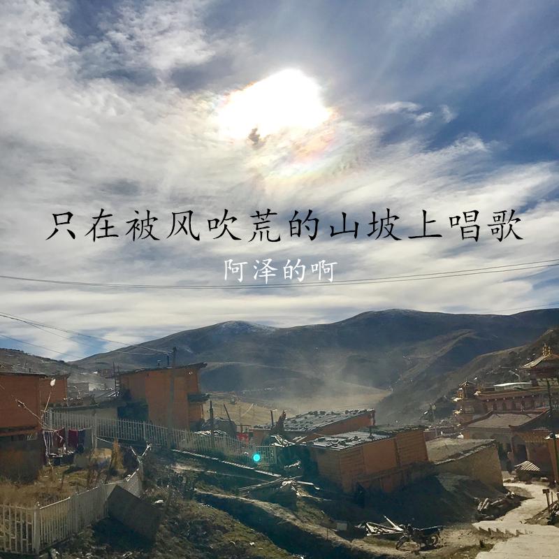 只在被风吹荒的山坡上唱歌专辑