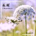 苏醒(Awake)