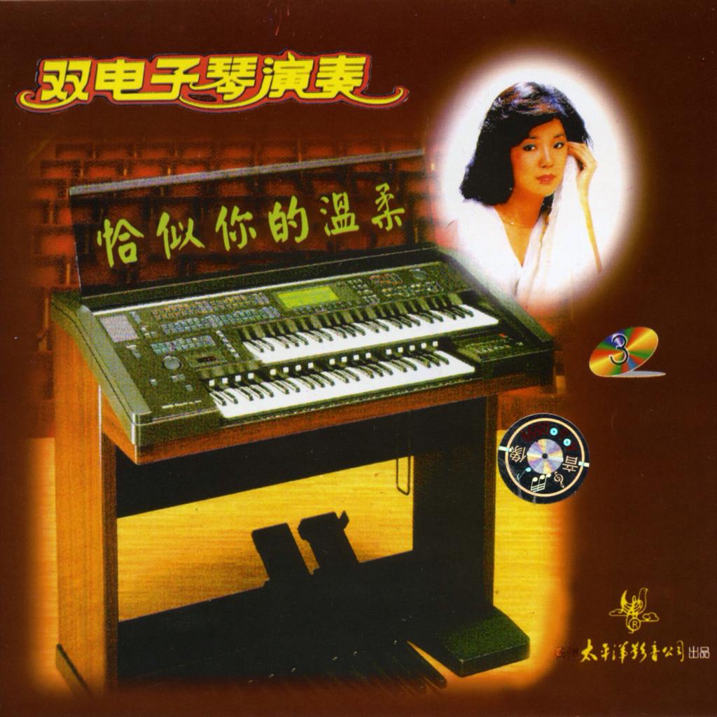 电子琴 - 纯音乐大全
