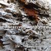 Window - Impossible