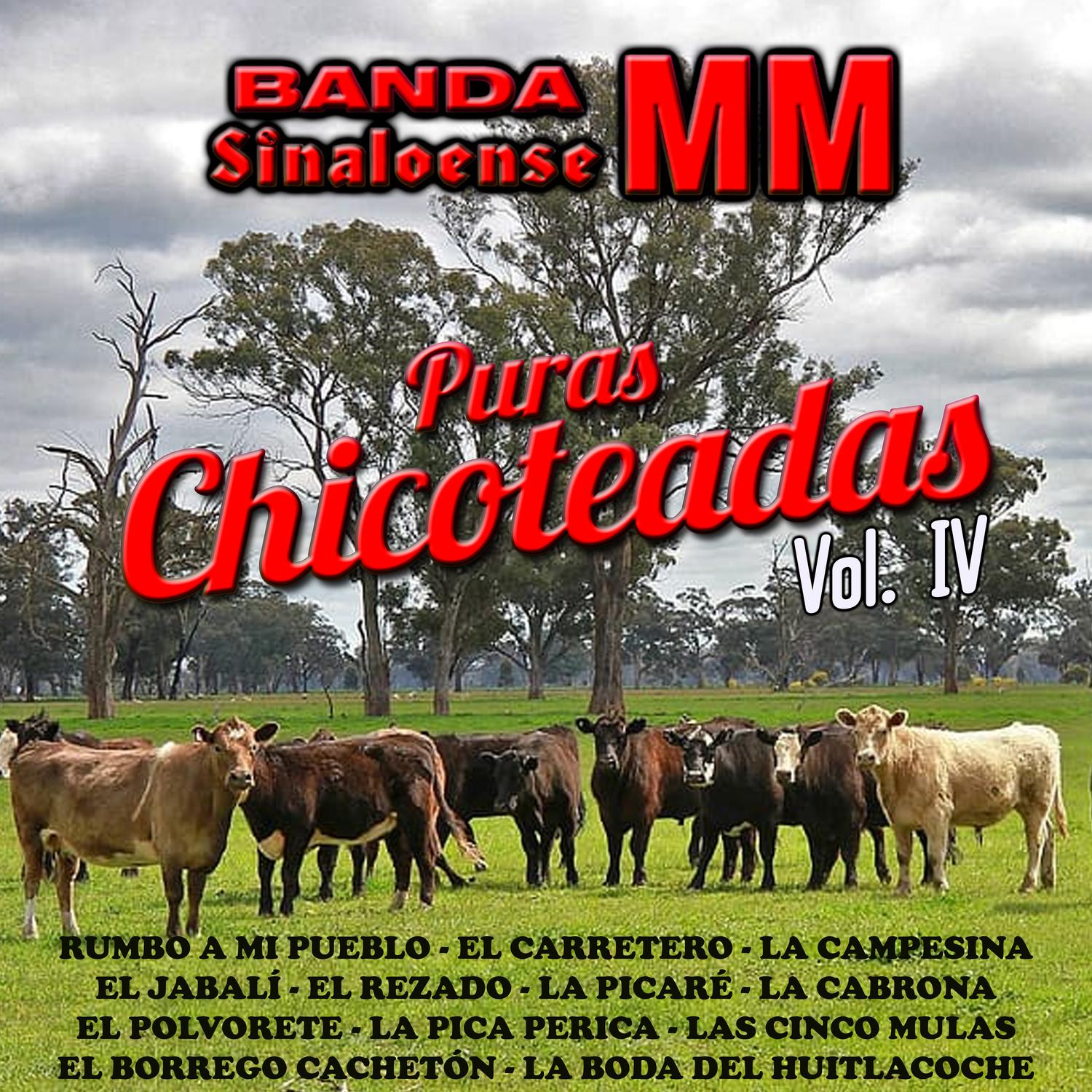 Puras Chicoteadas, Vol. 4