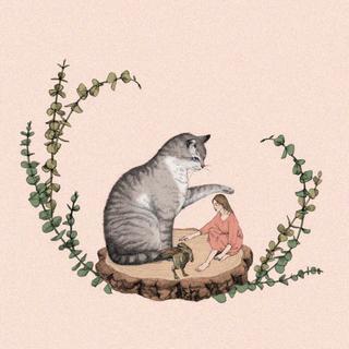 就养一只猫吧，你喜欢猫，我喜欢你