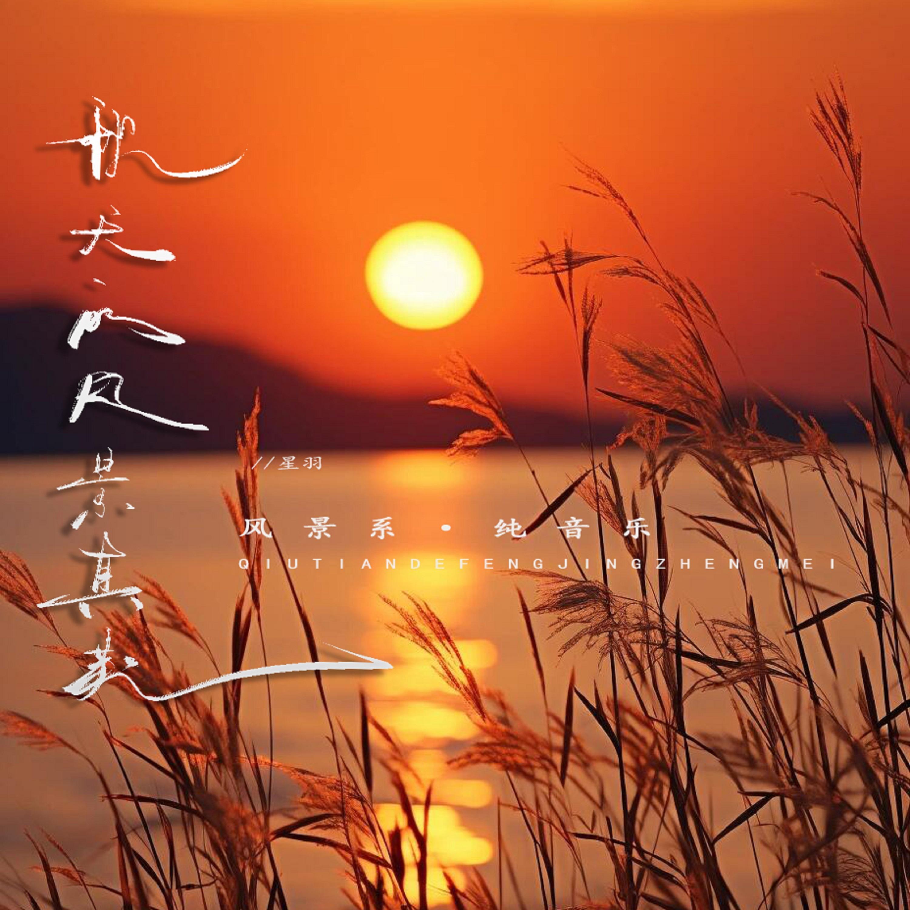 秋天的风景真美