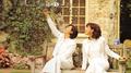 回归线5 花落何方专辑