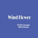 Wind Flower专辑