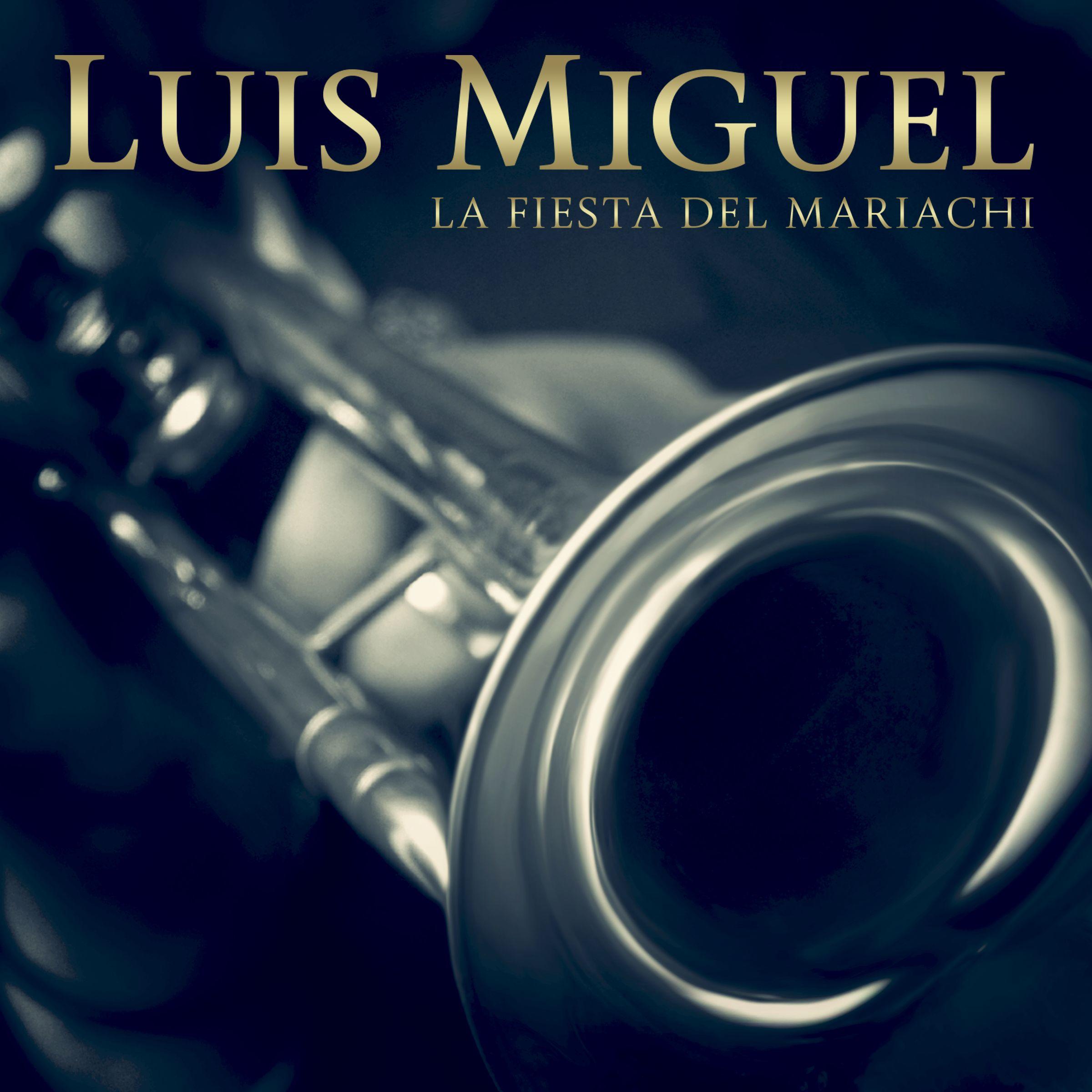 La Fiesta Del Mariachi