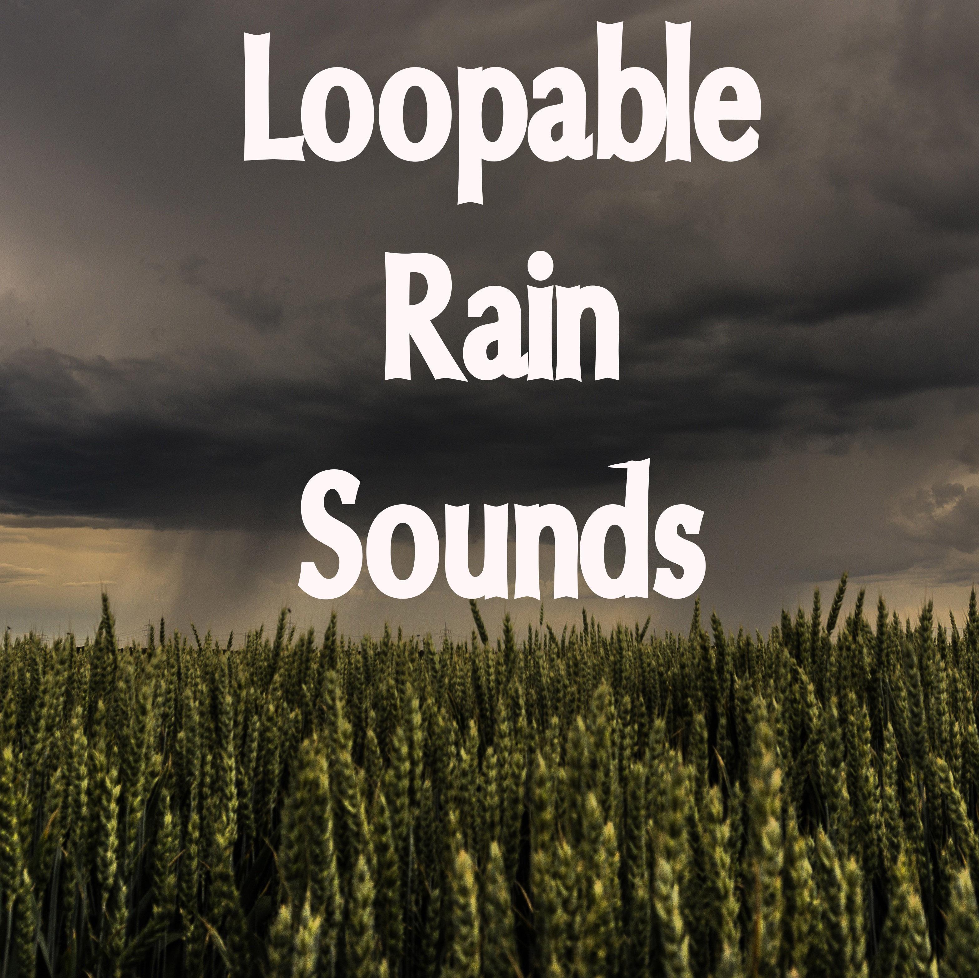 12 Best Loopable Rain Sounds Compilation专辑