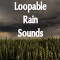 12 Best Loopable Rain Sounds Compilation