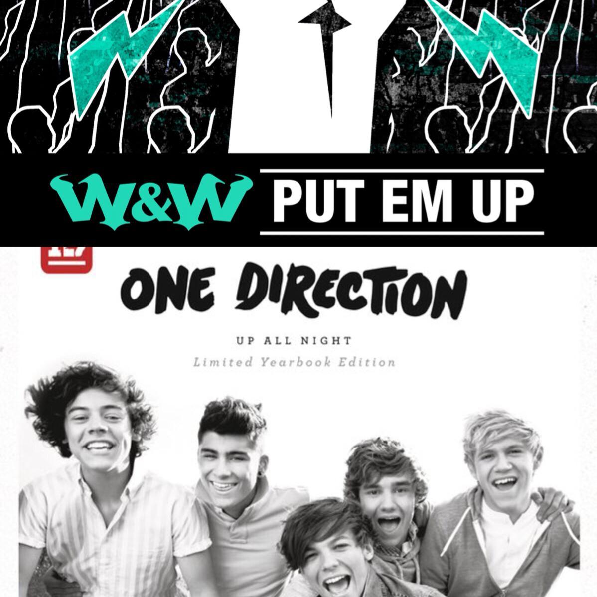 What Makes You Beautiful vs Put EM Up ( Mashup)