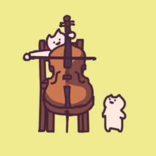 Everydayonecat