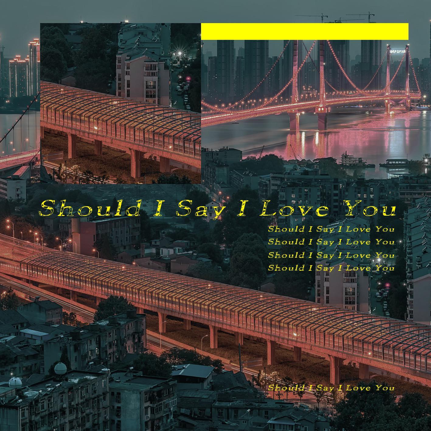 Should I Say I Love You